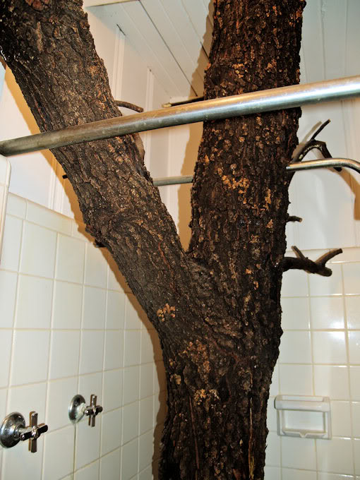 atkinsontree